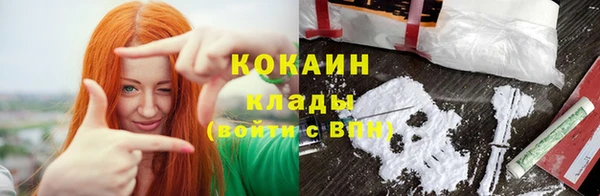 МДПВ Богородск