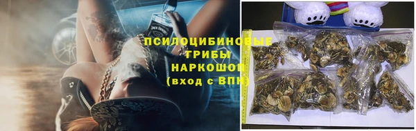 ECSTASY Богородицк
