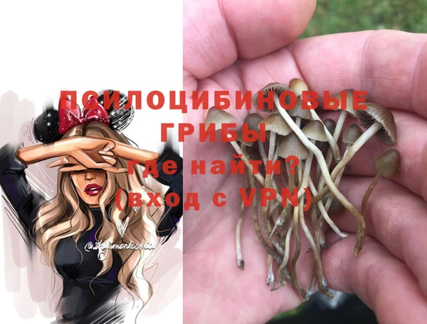 синтетический гашиш Бородино