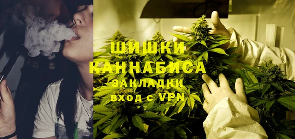 мдпв Бронницы