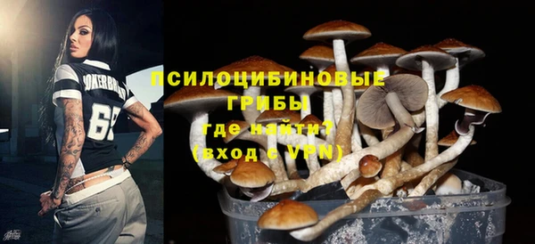 мдпв Бронницы