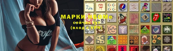 мдпв Бронницы